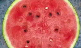 最好的吃瓜神器,畅享瓜界盛宴的秘密武器