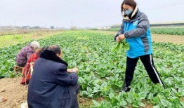上海自愿者送菜吃瓜,送菜送瓜，温暖战“疫”时刻