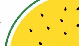 最新吃瓜免费分享,免费分享，一网打尽娱乐圈新鲜事