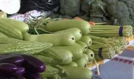 九个月宝宝吃葫芦瓜好吗,葫芦瓜营养解析与食用建议