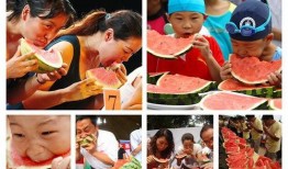 招远吃瓜,一场舌尖上的盛宴