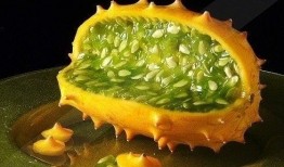 角瓜可以榨汁吃吗,健康美味的新选择