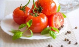 天天吃瓜番茄小说,番茄小说中的悬疑世界