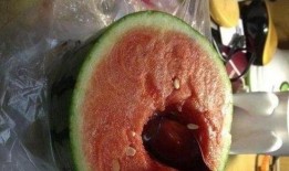 案例吃瓜,一场网络舆论的风暴与反思