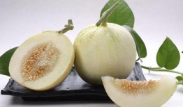 最近凉山吃瓜事件,揭秘背后真相与反思