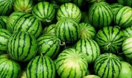 网格瓜怎么熟得快点吃,速享美味新体验