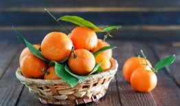 空腹可以吃乳瓜吗,空腹食用乳瓜的适宜性探讨