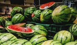 下午3点吃瓜,揭秘3点吃瓜的奇妙体验