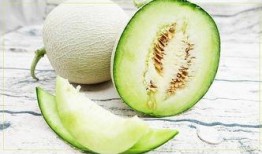 夏季吃瓜不要停,吃瓜不停，清凉一夏！