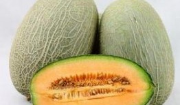 乌鸦吃哈密瓜,智慧与美味的邂逅