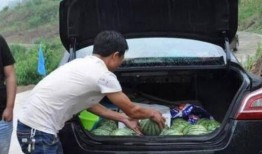 汽车员工吃瓜,揭秘行业内部趣闻轶事