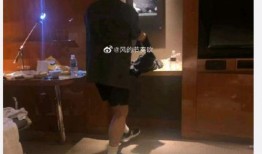 纯属吃瓜路人甲,揭秘娱乐圈幕后真相