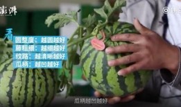 硬核吃瓜最新,揭秘娱乐圈背后的真相与内幕