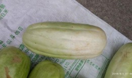 最全吃瓜名字大全