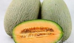 梦见吃大哈密瓜,揭秘吃大哈密瓜的神秘寓意