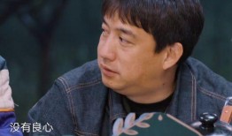 外网吃瓜何炅黄磊,娱乐圈风云再起