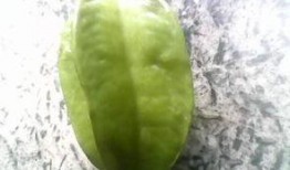 蒲瓜可以吃皮,意想不到的美食新发现