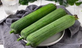 立秋吃瓜吃的是什么瓜