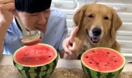 搞笑吃瓜套路视频大全,笑到肚子疼！