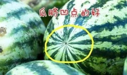 吃瓜的高端句子