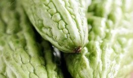 吃小吊瓜牙疼,却引发牙齿疼痛之谜