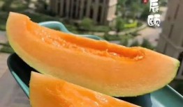 山东过年吃的瓜,传统瓜果里的新春记忆