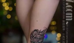 吃瓜爆料蛇纹身,吃瓜爆料揭示惊人真相