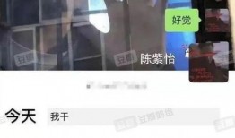 小怡同学视频吃瓜,一场视觉盛宴的瓜界狂欢