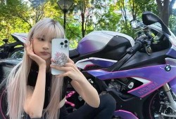 痞幼吃瓜头像,揭秘娱乐圈幕后风云