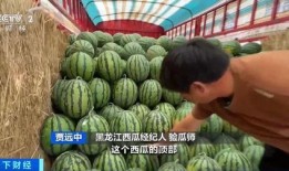 国内吃瓜网群,热门话题背后的真相与笑料