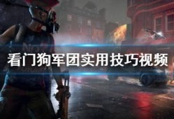 吃瓜军团合集视频,盘点那些爆笑、感人、励志的瓜界故事