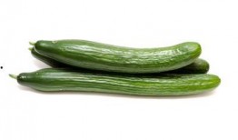 吃瓜没营养,揭秘“吃瓜没营养”背后的真相与反思