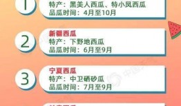 带你吃瓜收费的菜单,揭秘网红美食背后的真相