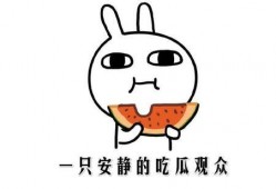 吃瓜 啥意思,揭秘“吃瓜群众”背后的网络文化现象