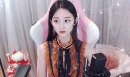 吃瓜主播和粉丝