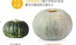 小孩吃瓜香,小孩吃瓜的欢乐时光