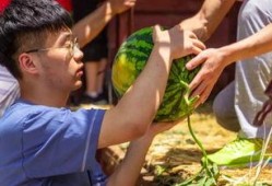 大学学姐吃瓜,揭秘大学校园那些鲜为人知的秘密