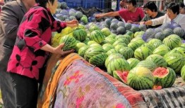 吃瓜自由地,吃瓜自由背后的真相与争议