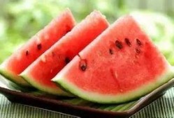 吃瓜学校打卡,揭秘校园里的趣味生活点滴