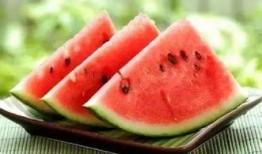 吃瓜学校打卡,揭秘校园里的趣味生活点滴