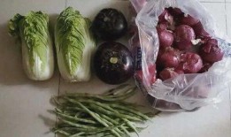 上海自愿者送菜吃瓜,送菜送瓜，温暖战“疫”时刻