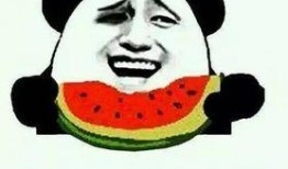 你瓜吃太多了,揭秘网络八卦背后的影响与反思