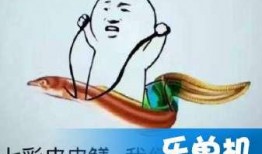 新梗吃瓜,揭秘网络热词背后的趣味与真相