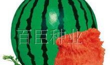 瓜哥吃瓜雷人手机壳