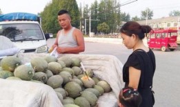 大妈卖瓜吃瓜搞笑,欢乐搞笑一箩筐