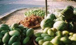 全网吃瓜系统,揭秘娱乐圈幕后真相