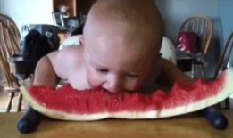 可爱婴儿吃瓜视频,宝宝吃瓜视频萌翻网友