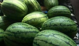 下午3点吃瓜,揭秘3点吃瓜的奇妙体验