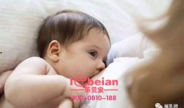 孩子吃奶可以吃瓜,宝宝成长中的温馨食育时光