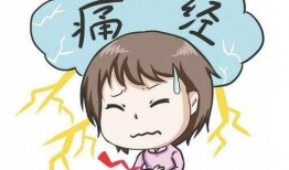 吃瓜小熊痛经,甜蜜烦恼的甜蜜见证